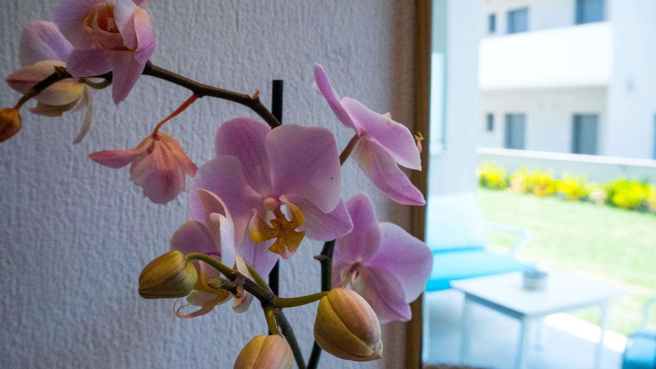 Costa Domus Blue Luxury Apartments Nikiti  Eksteriør billede